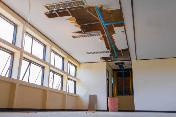 Best 24/7 water damage repair  in Eugene, OR