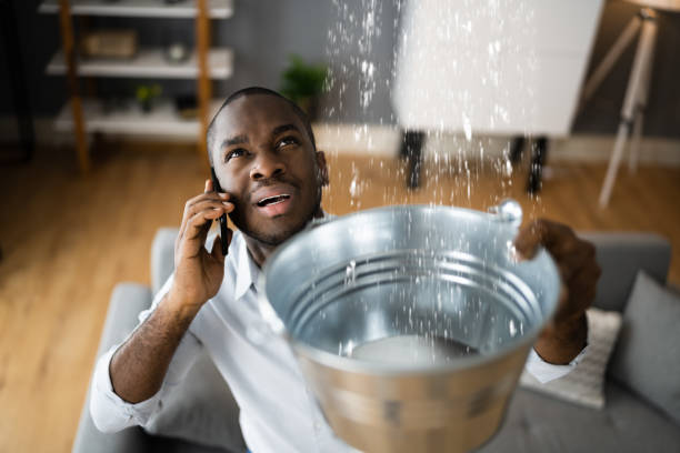 Best Mold removal after water damage  in Eugene, OR