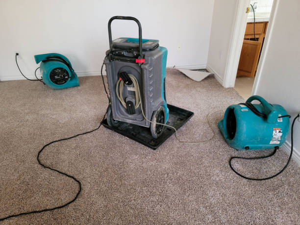 Best Water damage restoration experts  in Eugene, OR
