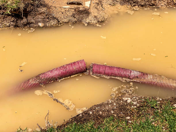Best Water damage restoration near me  in Eugene, OR