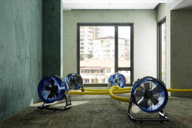 Best Sewage cleanup and water damage restoration  in Eugene, OR